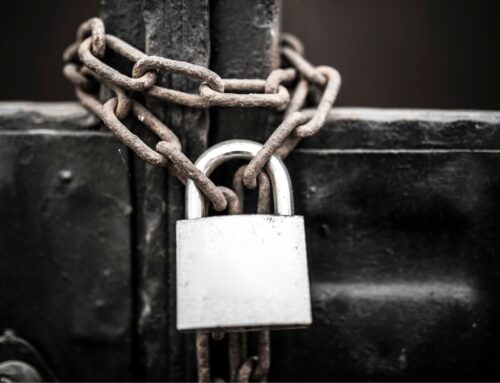 How to Avoid Vendor Lock-In When Selling Firearms Online